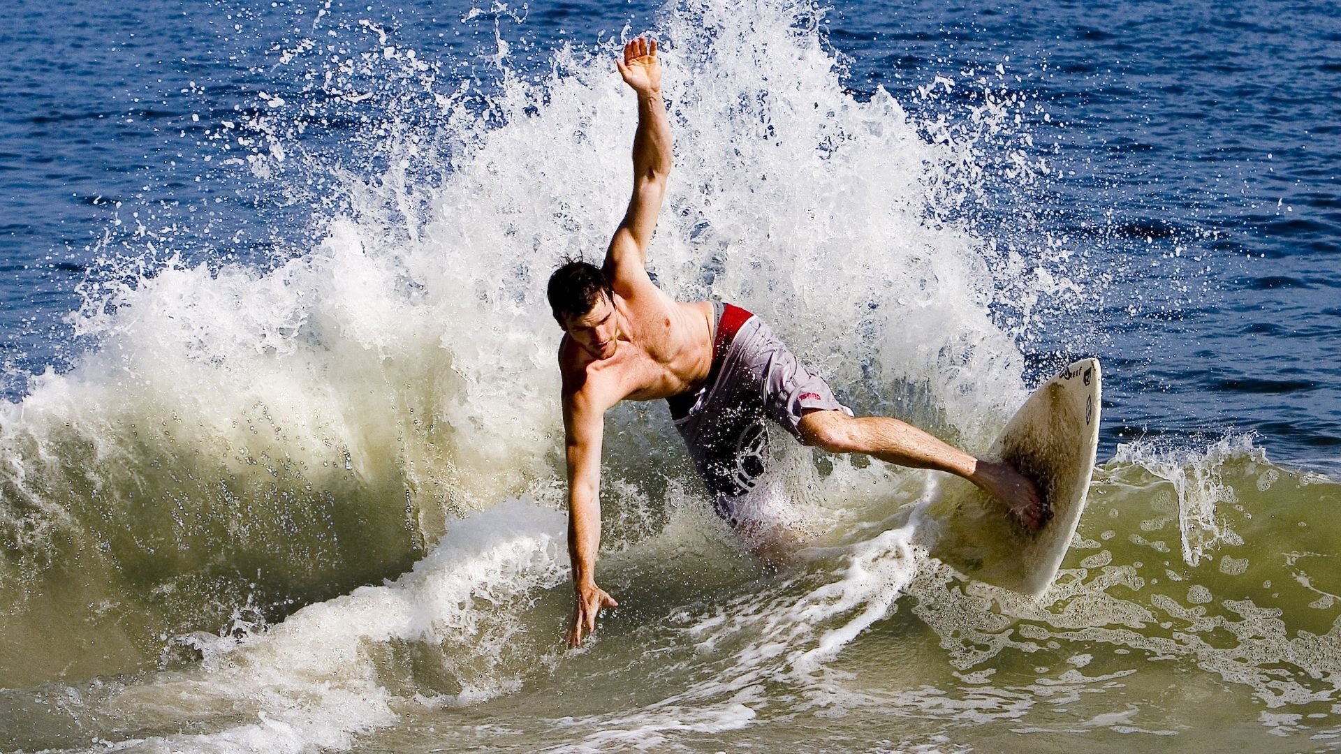 体育赛事观众增长情况