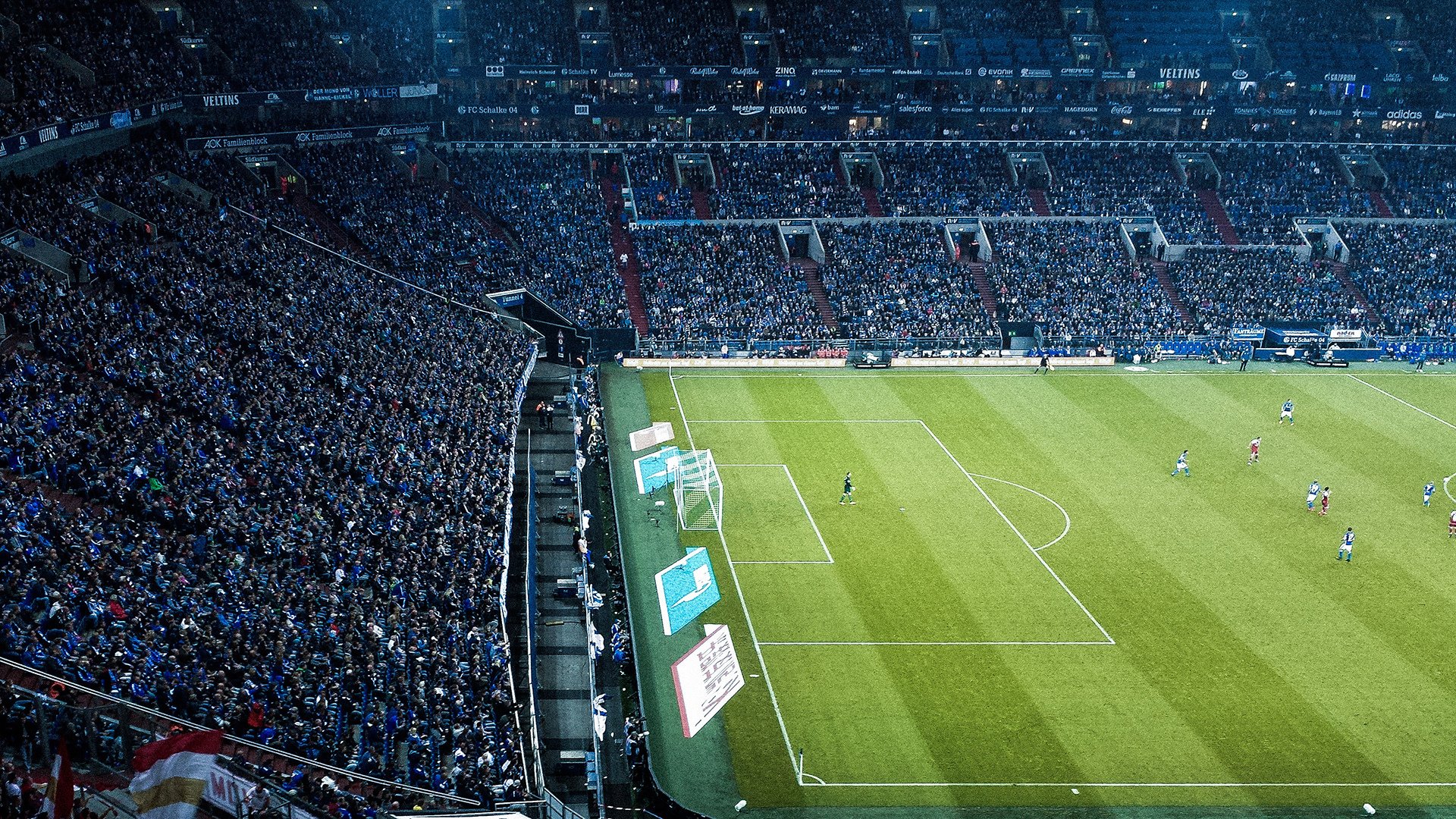 濒危动物主题步行筹款赛 参赛者身穿动物图案T恤