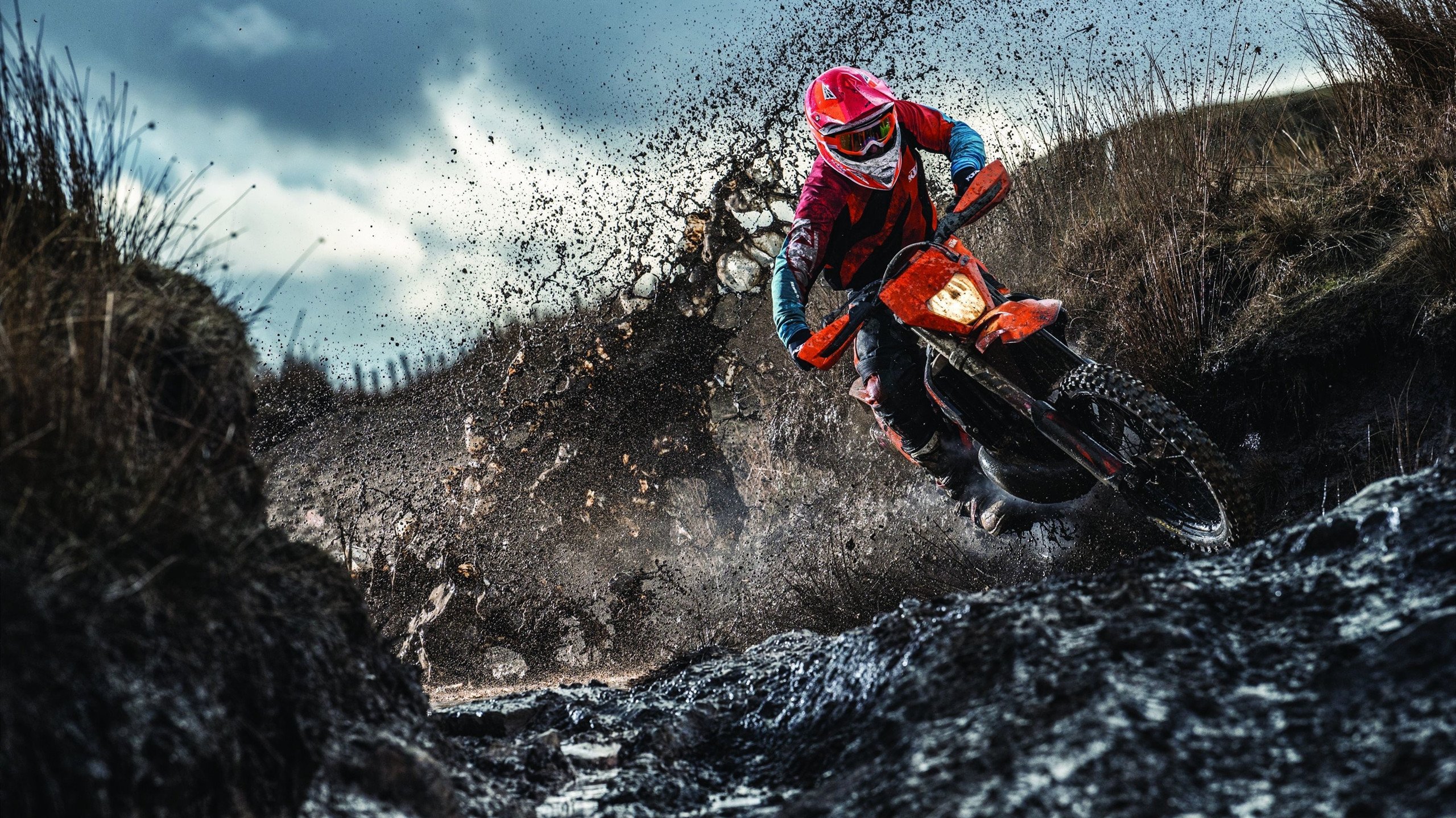 篮球解说员观点引热议